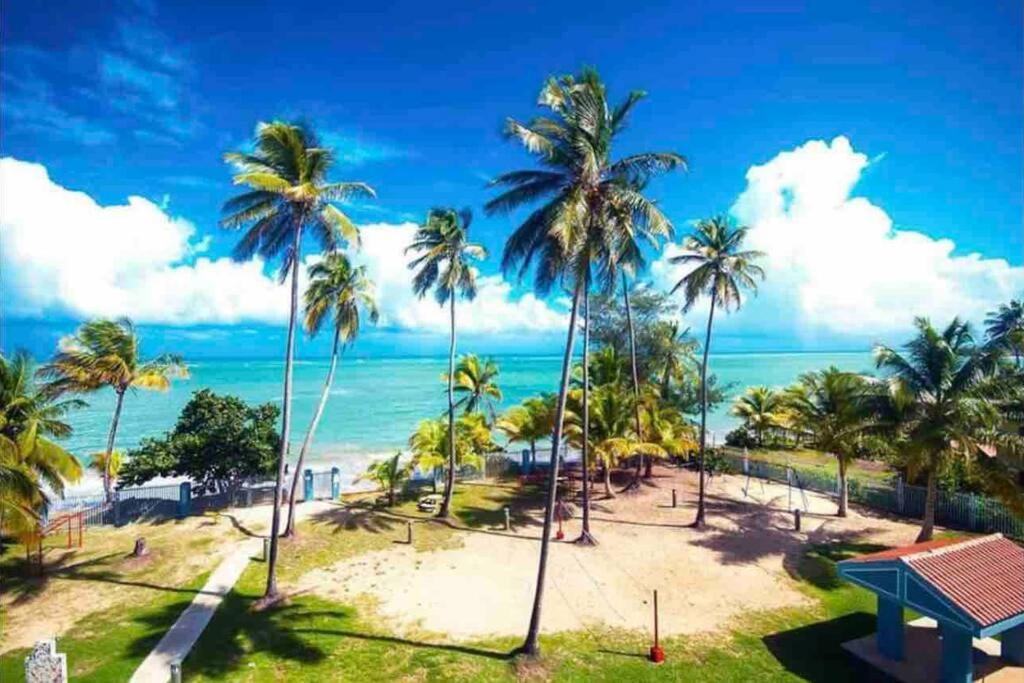 3Bedrm Beach Penthouse With Rooftop Terrace & Wifi Rio Grande Exterior photo